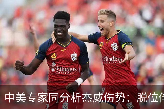 中美专家同分析杰威伤势：脱位伴随胫腓骨折 下胫腓联合韧带可能撕裂