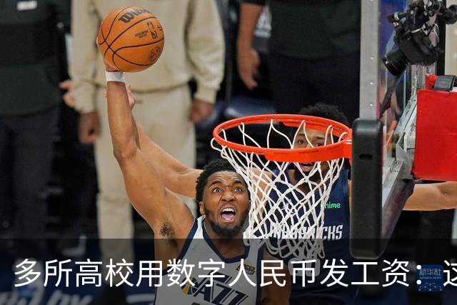 多所高校用数字人民币发工资：这不是换个App那么简单