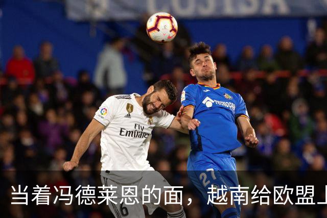 当着冯德莱恩的面，越南给欧盟上了一课：这就是“中国力量”