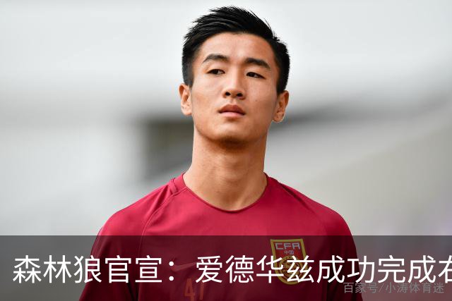 森林狼官宣：爱德华兹成功完成右膝关节镜清创手术 预计缺席两月