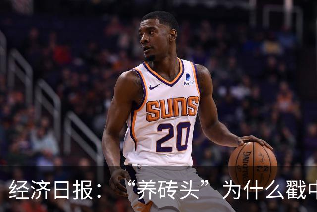 经济日报：“养砖头”为什么戳中年轻人？