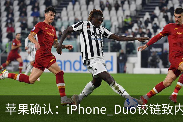 苹果确认：iPhone Duo铰链致内屏开裂