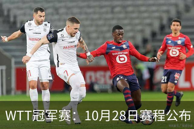 WTT冠军赛：10月28日赛程公布！国乒5大主力首秀，王曼昱等人登场